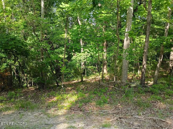 139 Havenridge Cir, Fairfield Glade, TN 38558