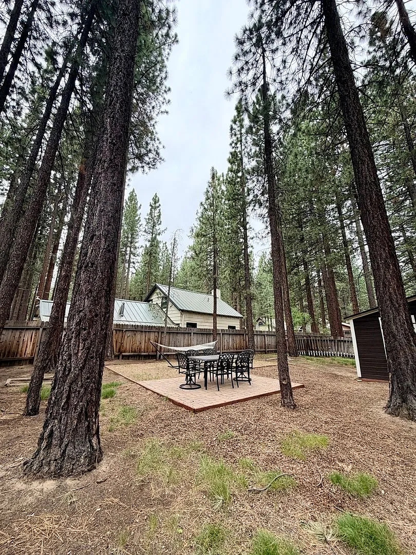 Cozy 2 Bedroom Dog Friendly Cabin with Fully Fenced Yard in South Lake Tahoe — Photo 2