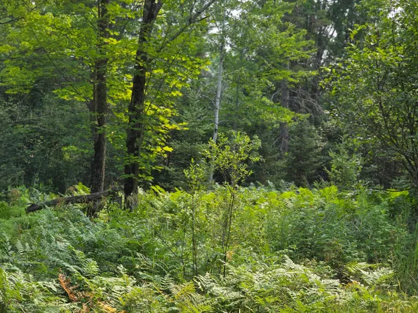 Off Hwy #M28-2684ac, Bruce Crossing, MI 49912