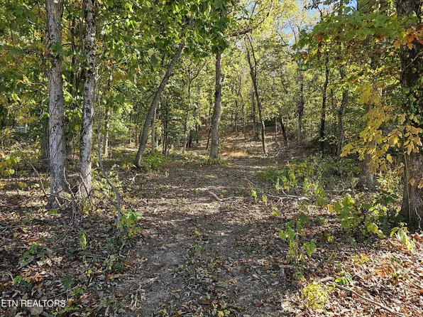 3406 Lanyard Ln, Louisville, TN 37777