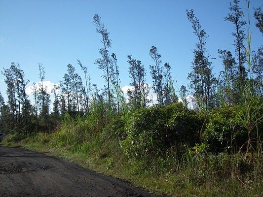 1st image of Road 9 Koloa Maoli Lot 5445
