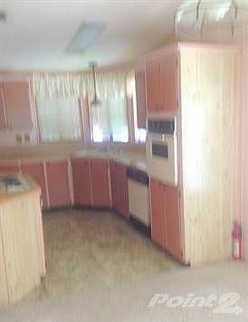 Wall Oven & Dishwasher
