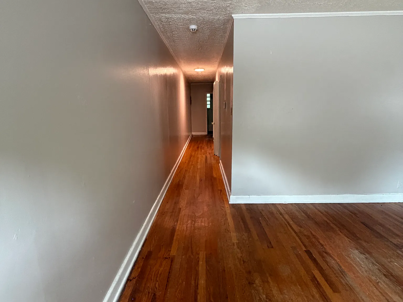 2 bed, 750 sqft, $850 — Photo 3