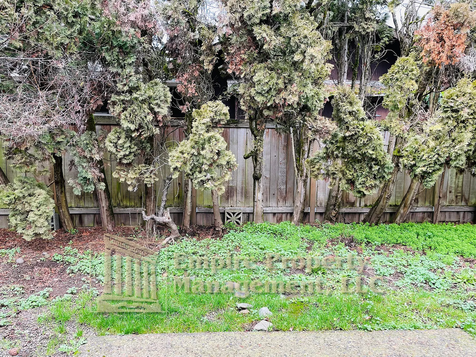 3481/3485 Western Drive - TM - 3485-... — Photo 3
