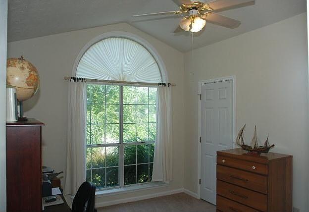 lots of natural light