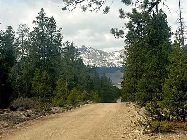 105 Fir St, Twin Lakes, CO 81251