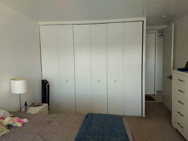 Huge bedroom closet, and another equivalent closet in the hallway plus a linen closet for a ton of storage space.