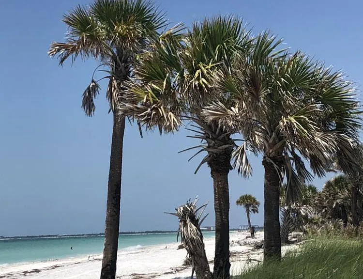 Tradewinds Dr — Photo 26