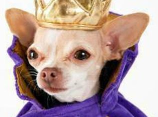 10310 Governours Ln APT D, Indianapolis, IN 46235