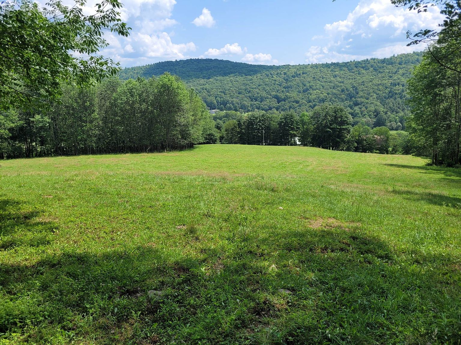 0WP County Highway 7, Otego, NY 13825 MLS 11198945 Zillow