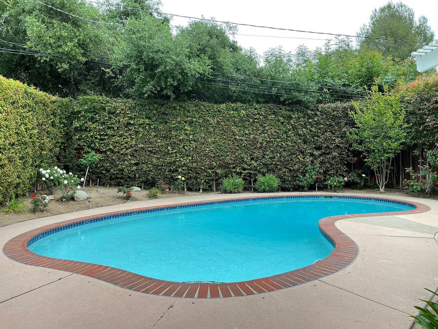 3 bed, 1464 sqft, $6,000 — Photo 3