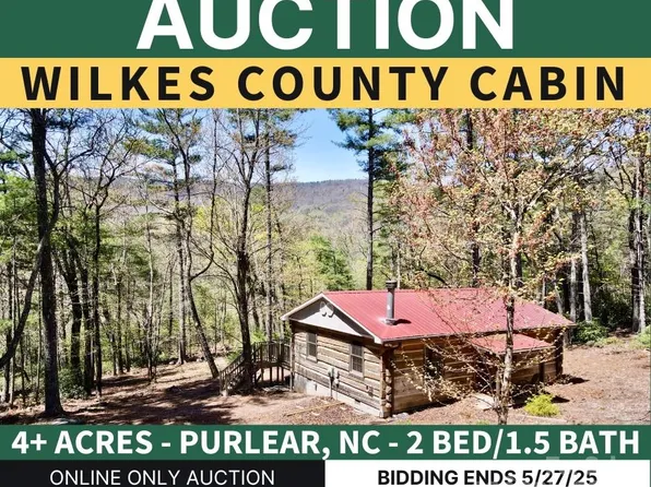 393 Grassy Ridge Ln, Purlear, NC 28665