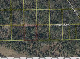 NW West South Dr LOT 130, Mayo, FL 32066