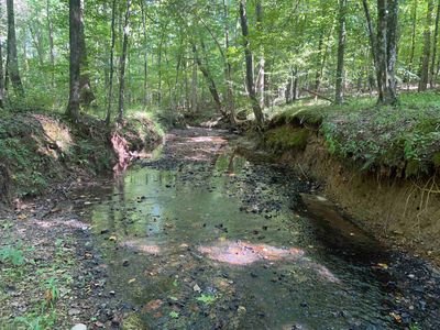 1 Clifton Rd, Savannah, TN, 38372