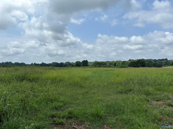 Buddy Williamson Rd, New Market, AL 35761