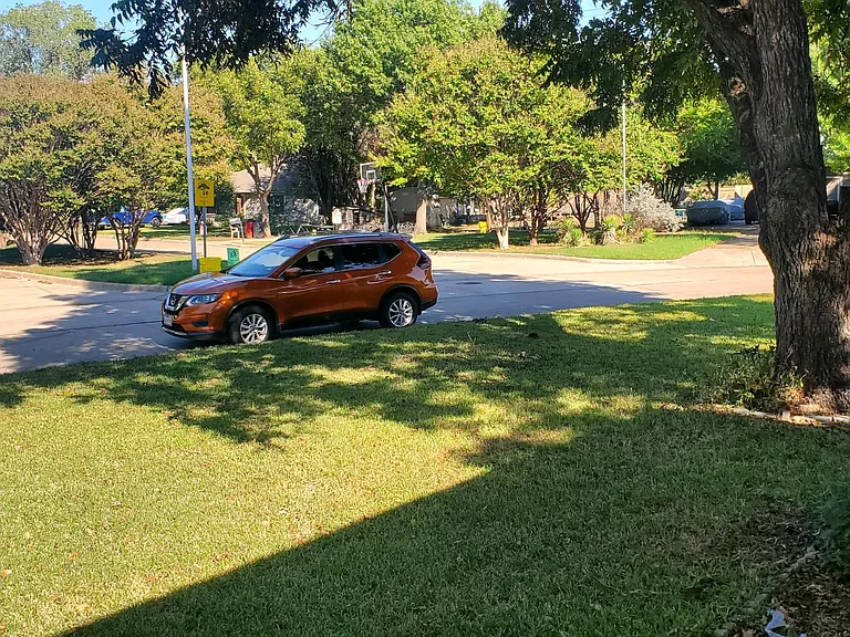 front yard