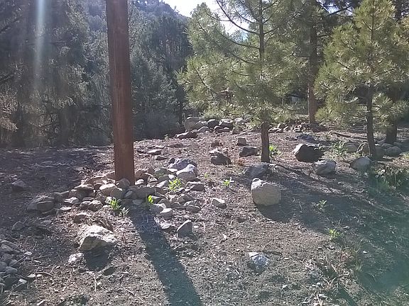 2nd image of 1805 Linden Dr