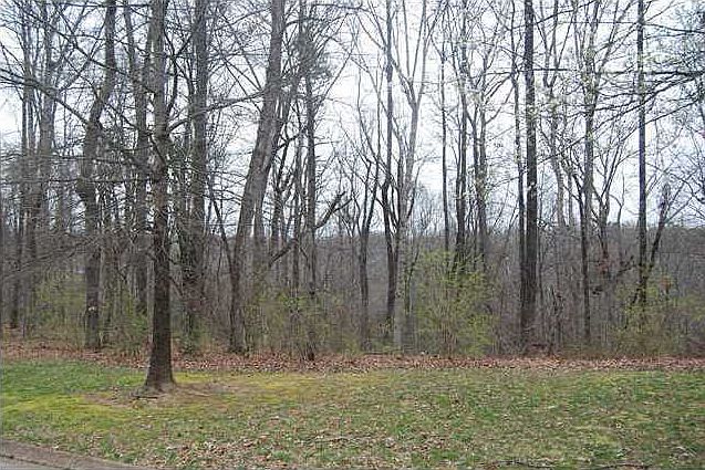 1st image of 0 Balfour Ct