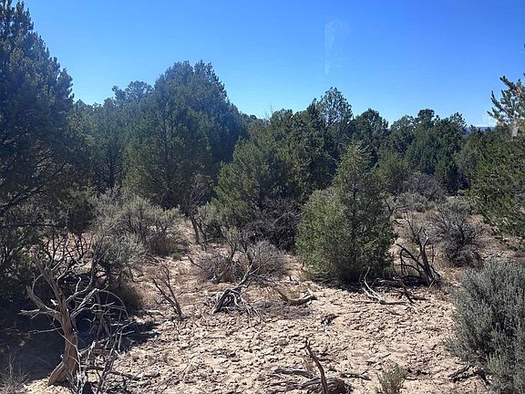 5th image of Road 312 Tract #D