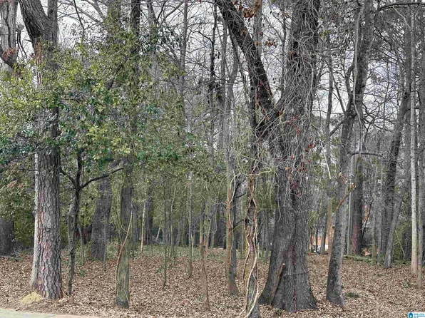 3072 Overton Rd #1, Birmingham, AL 35223