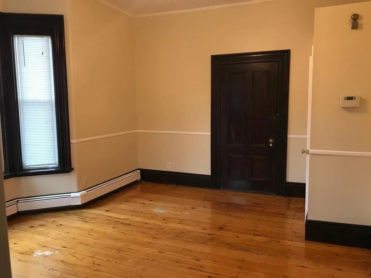 Studio, 300 sqft, $1,695 — Photo 2