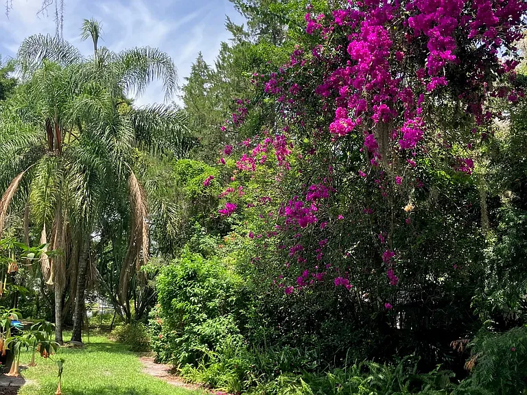 Lush vegetation throughout