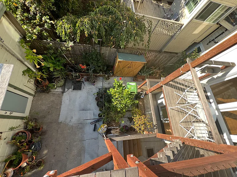 Back Yard top view