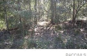5th image of 1768 E Amberjack Dr