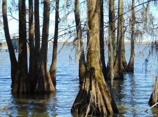 7 Parklin Ln, Elloree, SC 29047