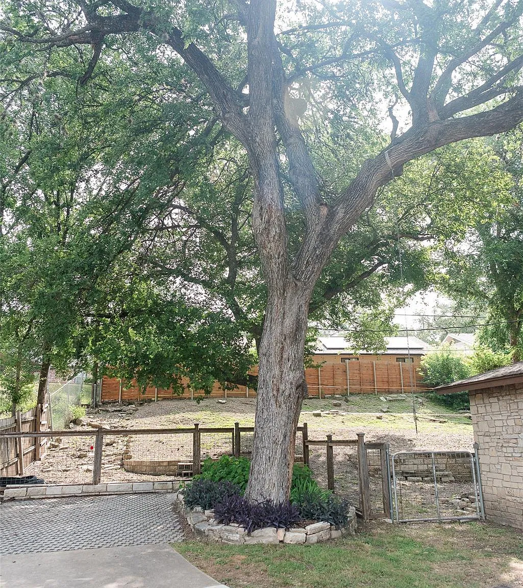 1 bed, 1.0 bath, 630 sqft, $1,400 — Photo 3