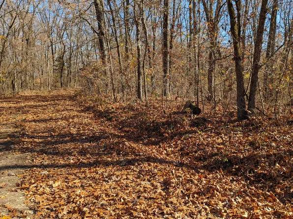 000 Deerfoot Trail #Tract A, Cape Fair, MO 65624