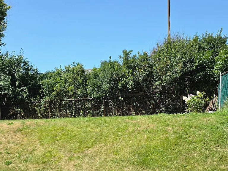 46 Cavehill Cres — Photo 15