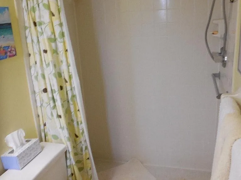 Master Shower