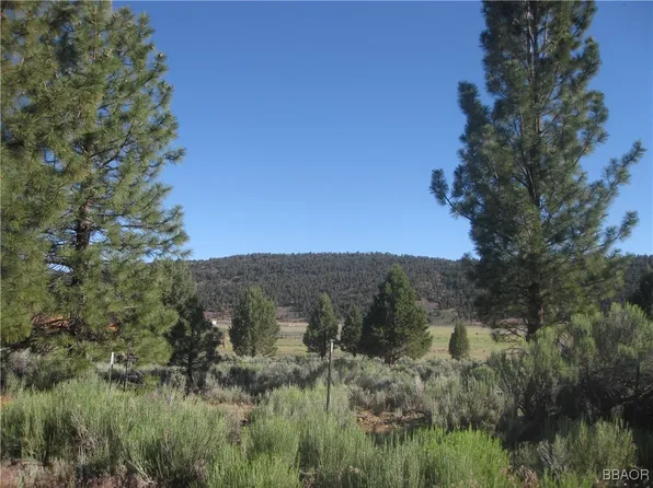 2805 Cedar Ln, Big Bear City, CA 92314