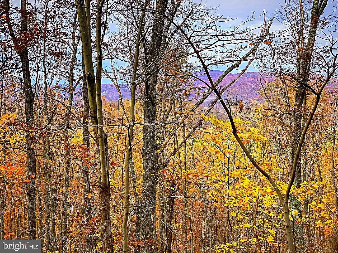 LOT 5 Little Long Mountain Rd, Huntly, VA 22640 Zillow