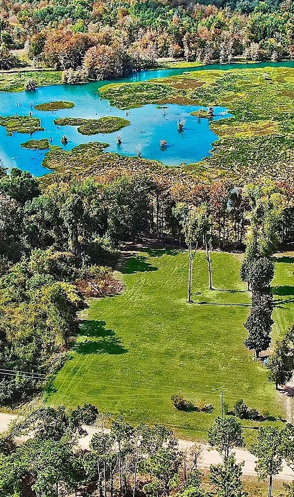 170 Back Of The Moon Rd, Brinson, GA 39825 MLS 11811 Zillow