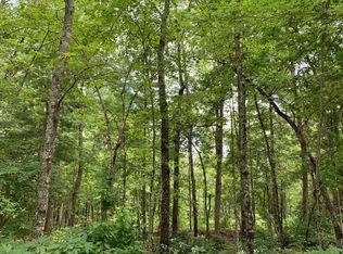 59 Bear Run, Hayesville, NC 28904