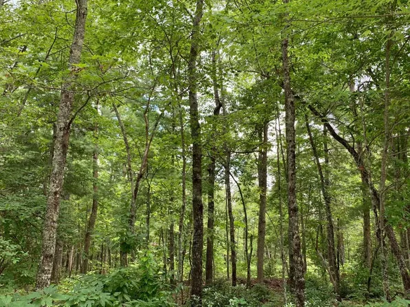 59 Bear Run, Hayesville, NC 28904