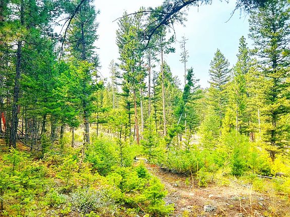 2nd image of Grizzly Gulch Dr