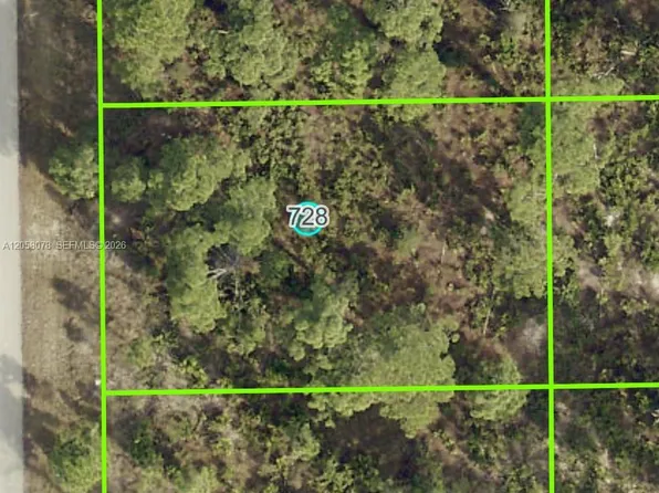 728 Pinecastle Dr, Lehigh Acres, FL 33974