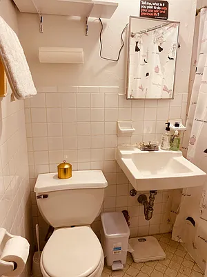 Rented by Voro NYC | media 27