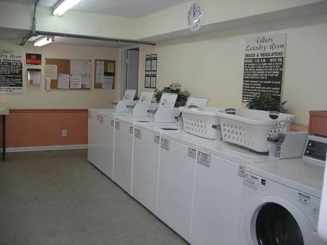 2 bed, 1000 sqft, $1,350 — Photo 3