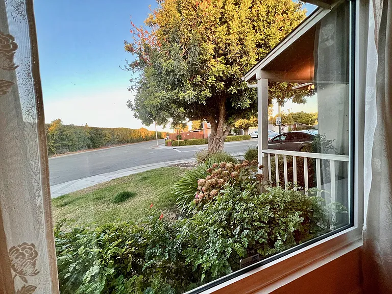 Large Window in Living Room