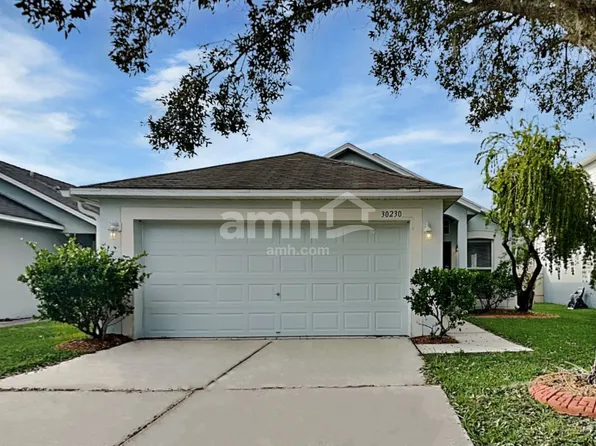 30230 Rattana Ct, Wesley Chapel, FL 33545