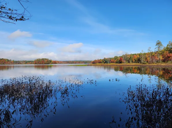 387 Old Bennington Road, Greenfield, NH 03047