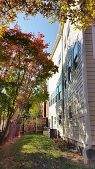 Lovely side of the house