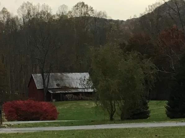 410 Mount Meadow Ln #1, Flag Pond, TN 37657