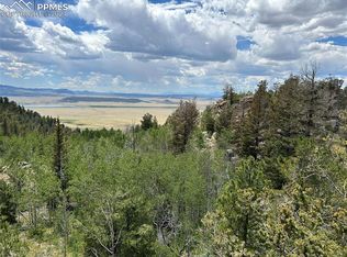 2942 County Road 333, Lake George, CO 80827