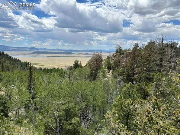 2942 County Road 333, Lake George, CO 80827