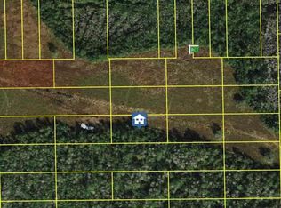 Deen Still Rd E Lot 87-B, Polk City, FL 33868